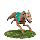 真人麻將娛樂城白金賽狗